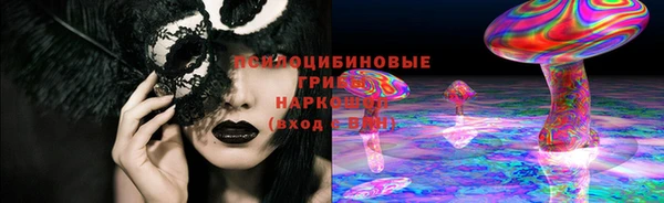 индика Елабуга