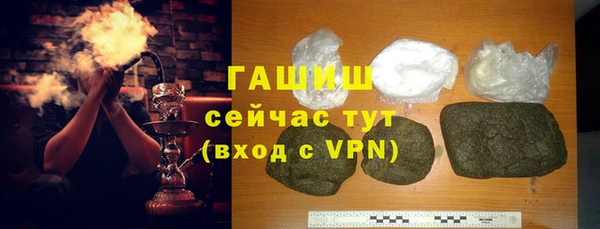 индика Елабуга