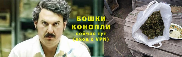 индика Воткинск