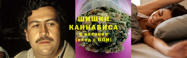 эйфоретик Заводоуковск