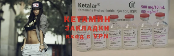 индика Елабуга