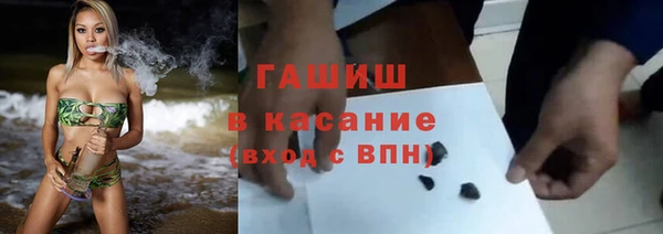 индика Елабуга