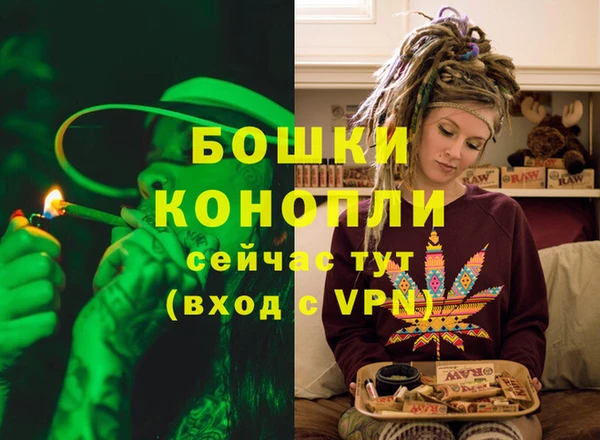 индика Елабуга