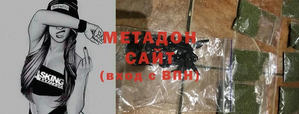 индика Елабуга