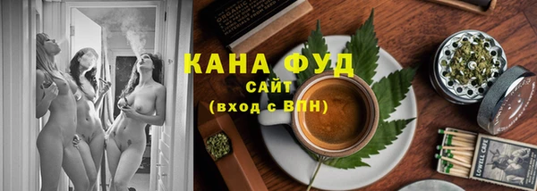 индика Воткинск
