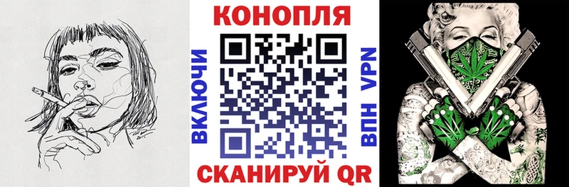 Конопля гибрид Ивангород